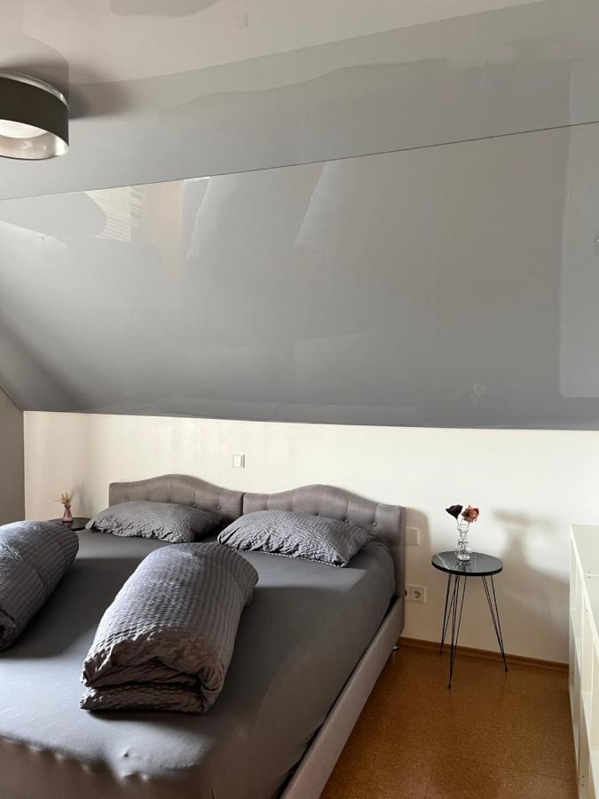 Lifestyle Apartment Sinsheim Zewnętrze zdjęcie