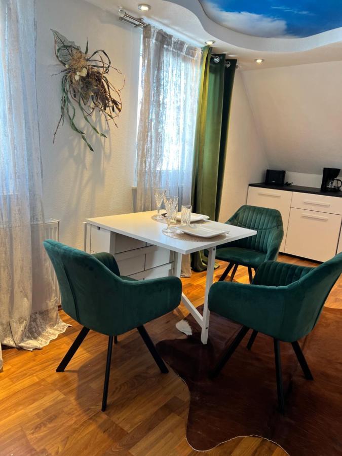 Lifestyle Apartment Sinsheim Zewnętrze zdjęcie