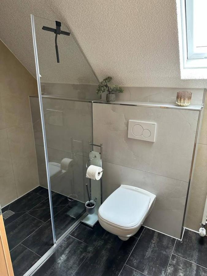Lifestyle Apartment Sinsheim Zewnętrze zdjęcie